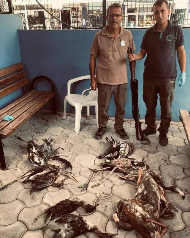 Flamingo avlayan avcıya 28 bin TL ceza kesildi